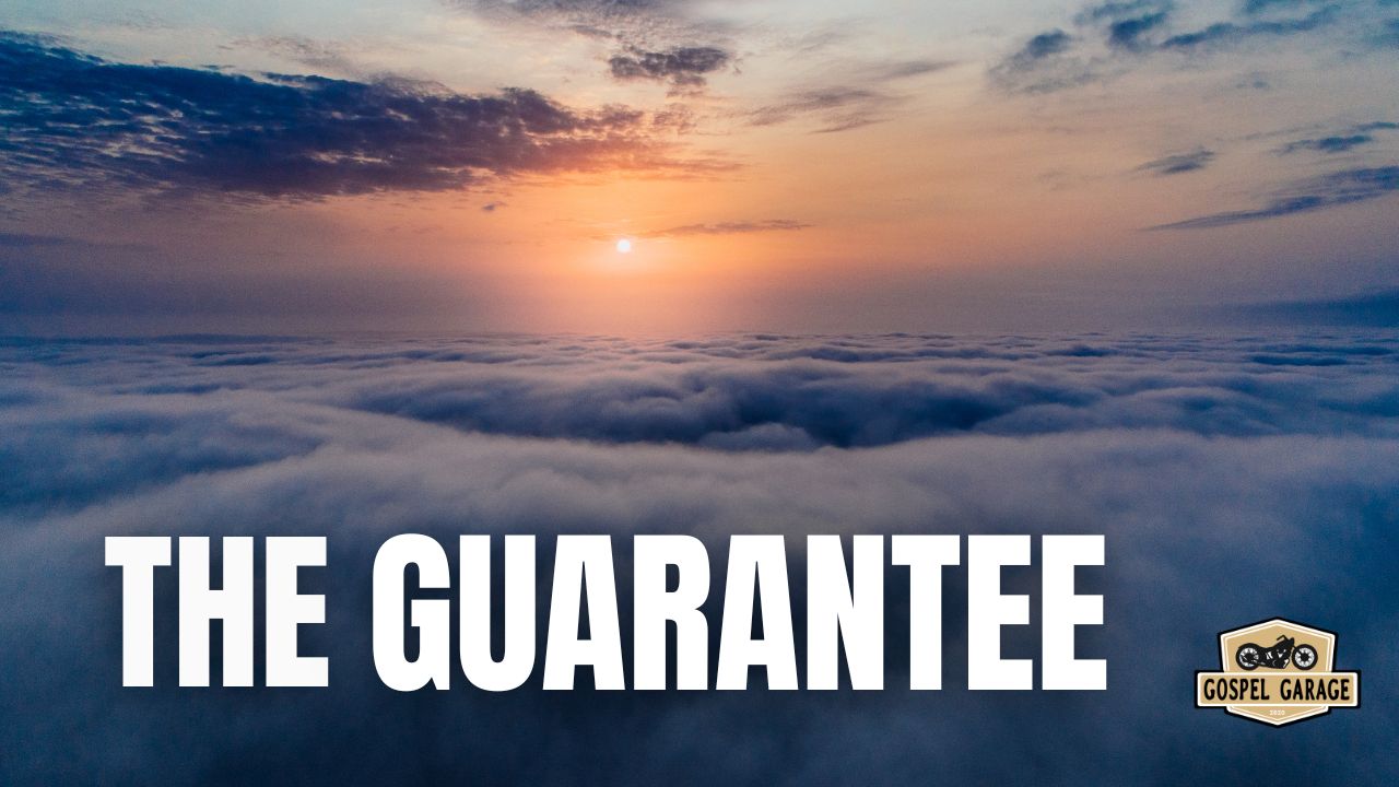 The Guarantee thumb